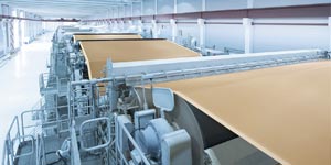 Setor Indústria de papel