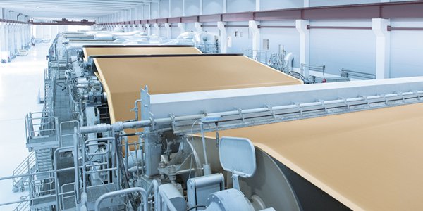 Branche Industrie Papier