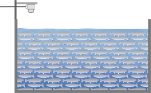 Mesure de niveau dans un bassin d'élevage