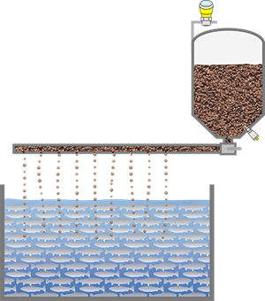 Aquaculture tank feeder level measurement point level detection