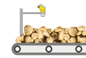 Niveaumeting van suikerbieten op de transportband