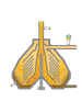 Pressure and limit level measurement in the yeast separator