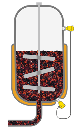 Level measurement in a vacuum vessel