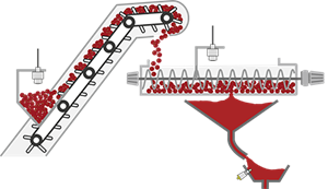 Spappolatore per pomodoro (pulper)