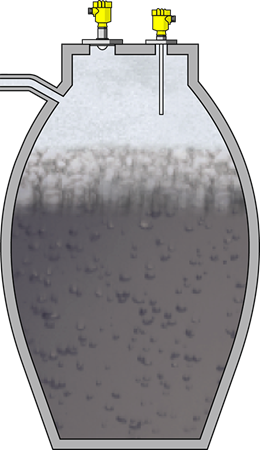 Level measurement and point level detection of foam in the digester