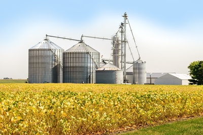 soybean food grain manufacturing plant