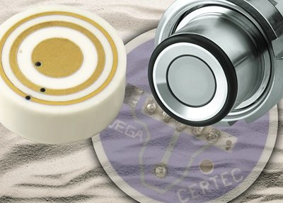 Teamwork: Am besten meistern keramische und metallische Messzelle gemeinsam die Herausforderungen im oberen und unteren Reaktorbereich.