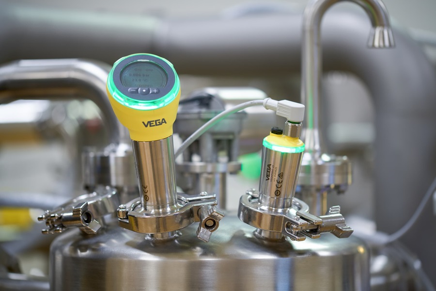 VEGABAR Basic series for hazardous environments
