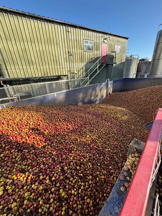 tank level measurement henry westons brewery and cider applications