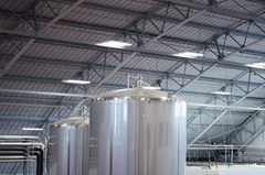 Finished-product-tank_top_web