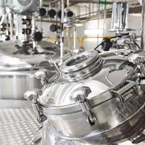 VEGA Branchenseminar Lebensmittel und Pharma