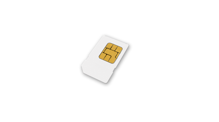 Identification Card VEGA