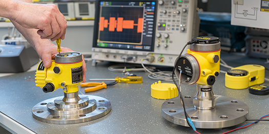 VEGA Service Support Repair